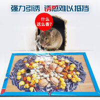 2025年度十款熱門粘鼠板產(chǎn)品榜 居家防鼠，值得入手的強(qiáng)力推薦